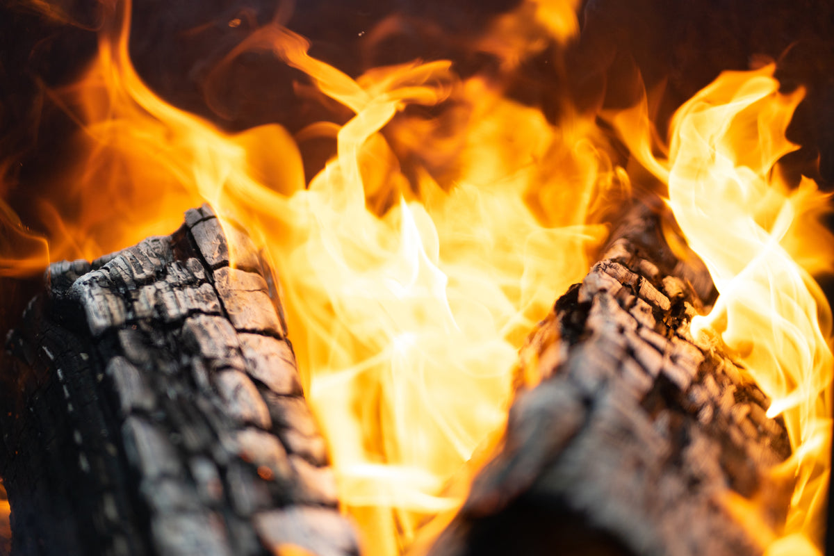Close-up of a fire burning 2 wooden logs.