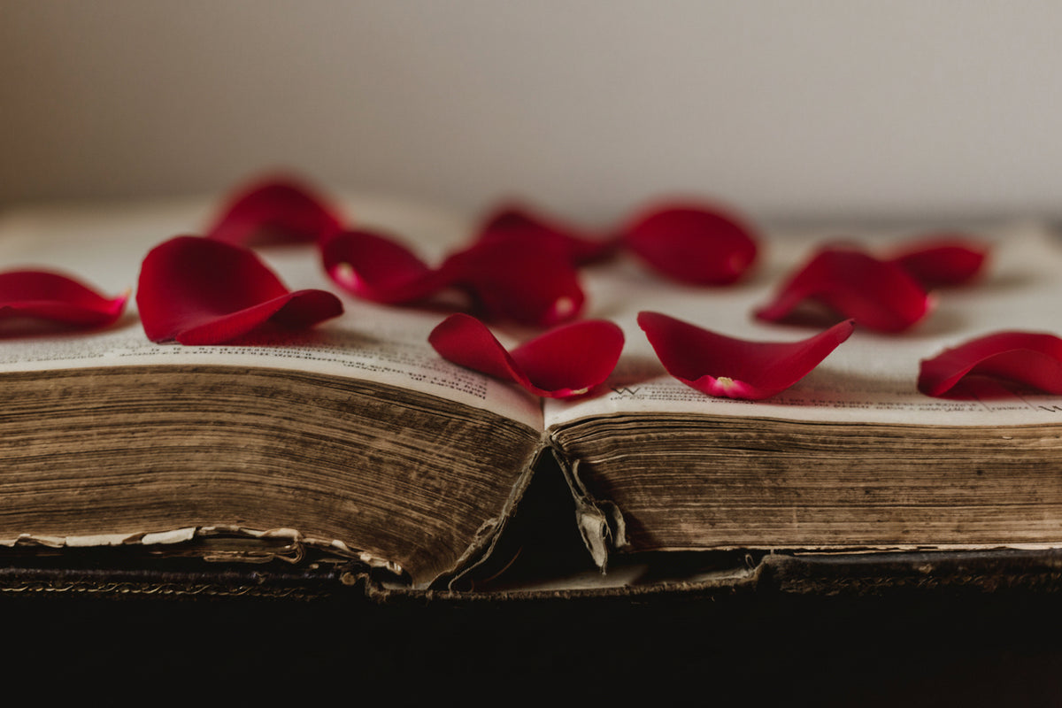 An open, worn, hardcover book with red rose petals laid on top.